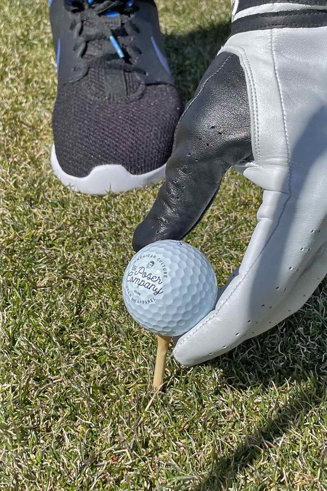 Titleist ProV1 Wink